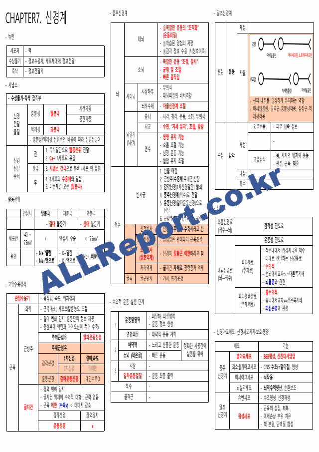 생리학 요약본(시험관련) 카셉운동사 (10 페이지)